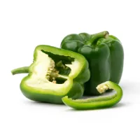 페이보릿포(F4) L