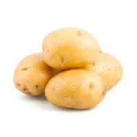 페이보릿포(F4) L