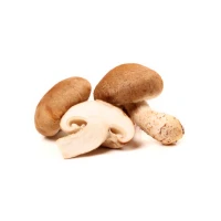 페이보릿포(F4) L