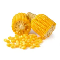 페이보릿포(F4) L